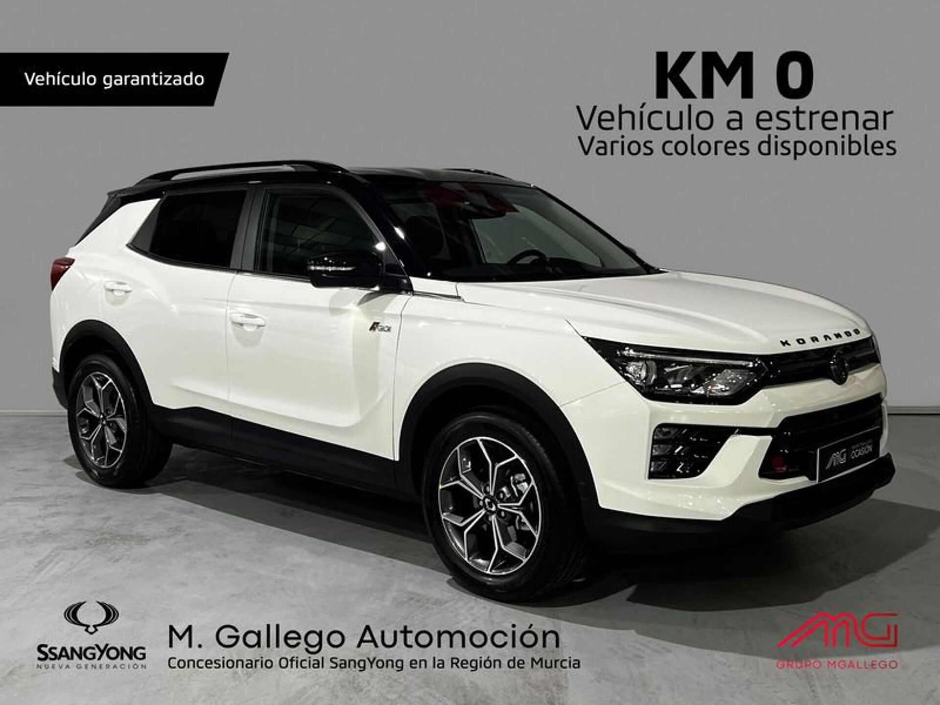 Imagen 1 de SSANGYONG KGM Korando