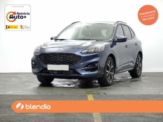 Imagen de FORD Kuga 1.5 EcoBoost ST-Line X FWD 150