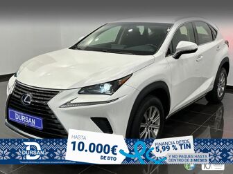 Imagen de LEXUS NX 300h Business Navigation 2WD