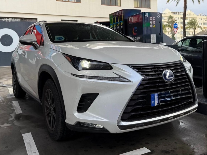 Foto del LEXUS NX 300h Business Navigation 2WD