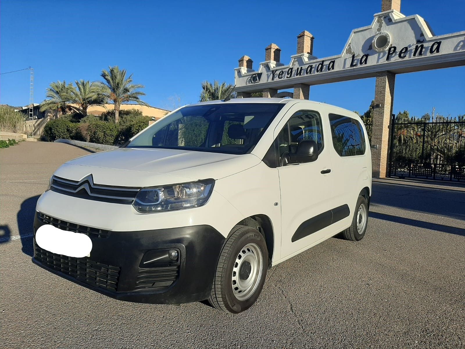 CITROEN Berlingo (BlueHDi S&S Talla M Feel 100) en Murcia