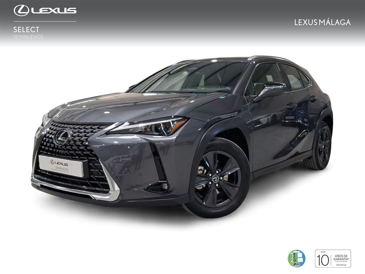 LEXUS UX (2.0 300h UX Plus) en Málaga