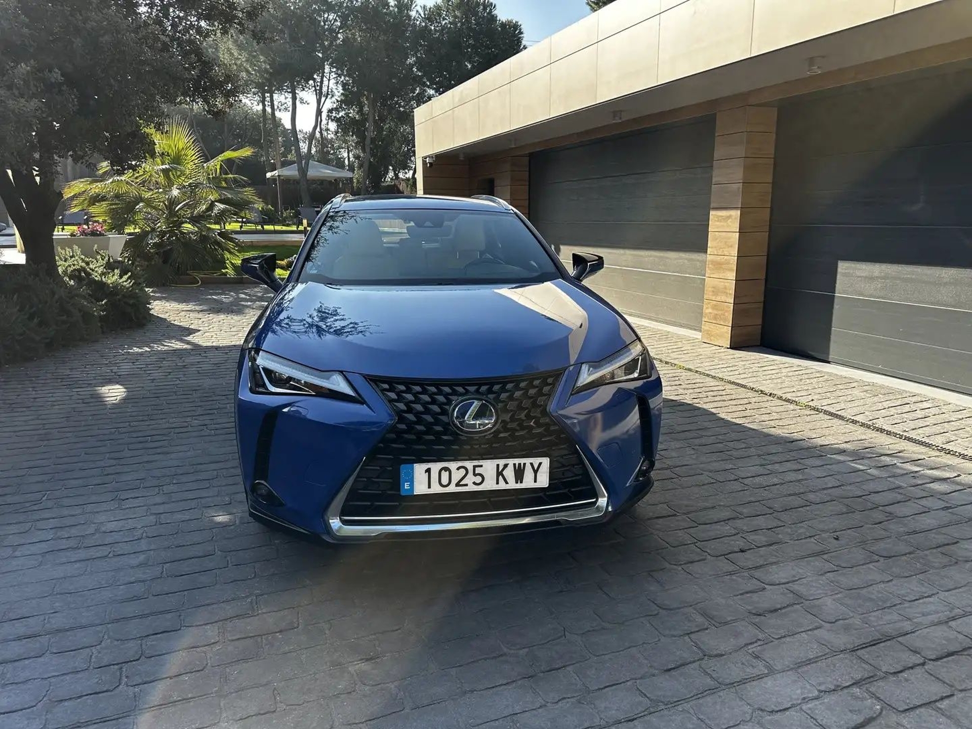 Imagen de LEXUS UX