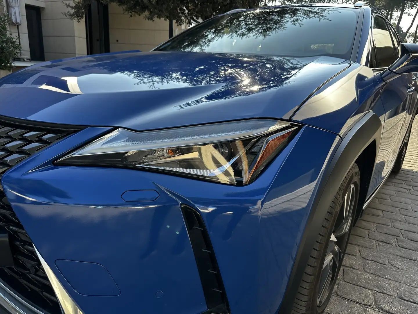 Foto del LEXUS UX 250h Business 2WD