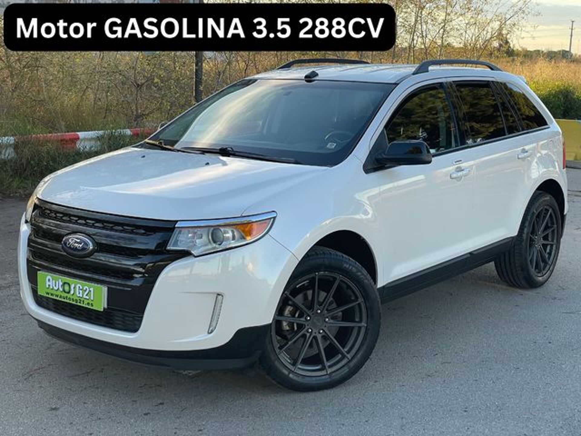 Imagen de FORD Edge