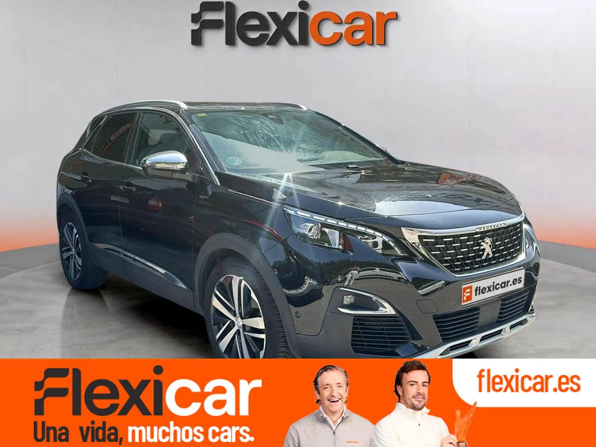 Imagen de PEUGEOT 3008
