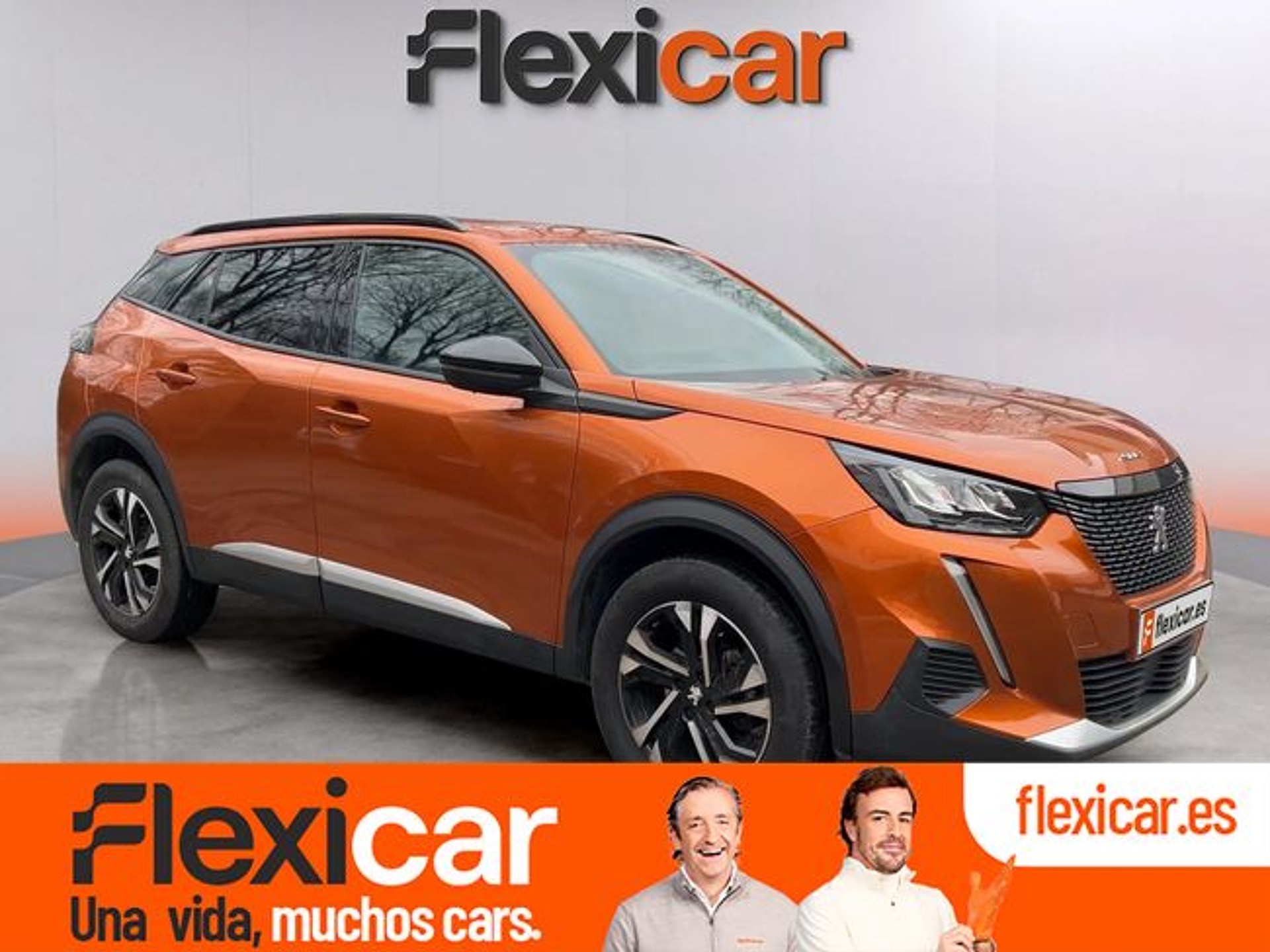 Imagen de PEUGEOT 2008