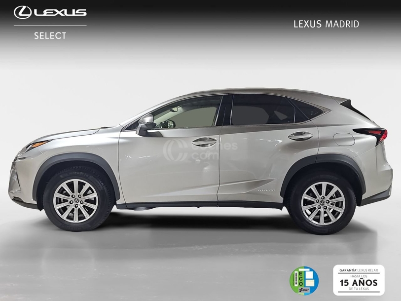 Foto del LEXUS NX 300h Business Navigation 2WD