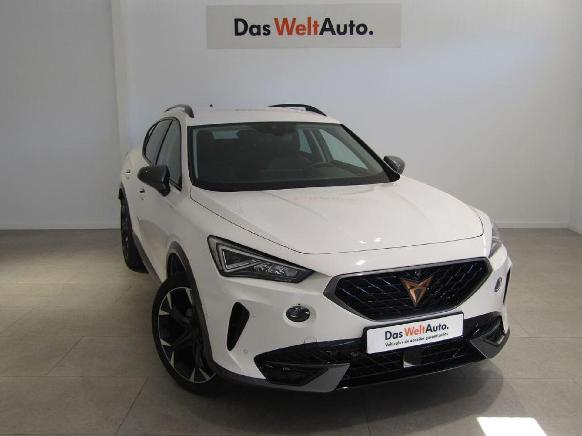 Imagen de CUPRA Formentor