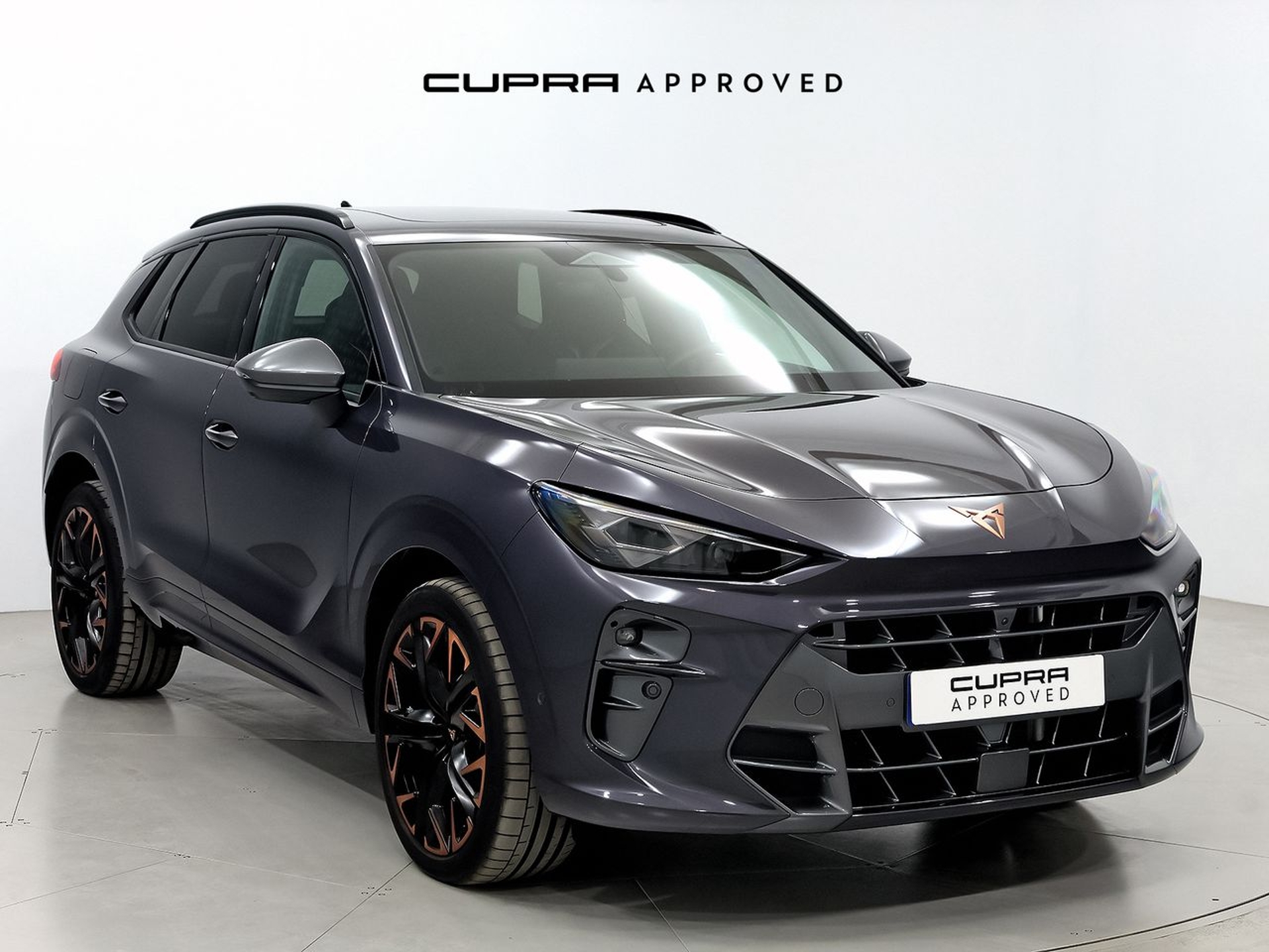 Imagen de CUPRA Terramar