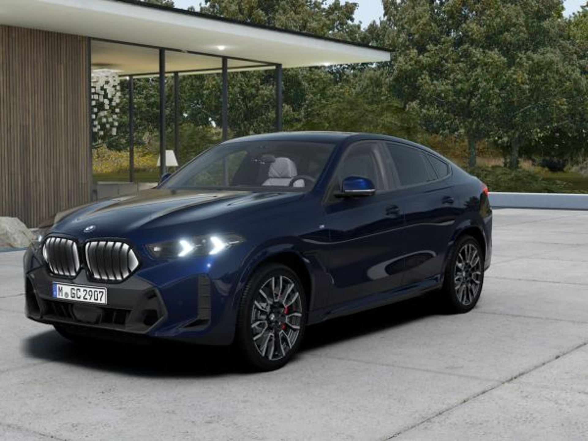 Imagen de BMW X6