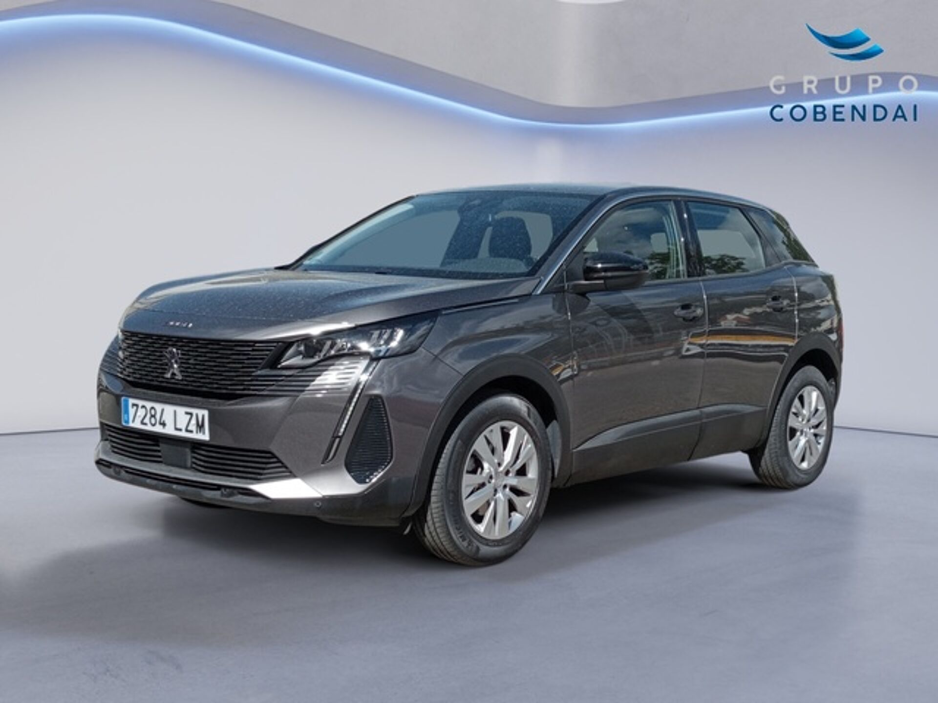 Imagen de PEUGEOT 3008 SUV