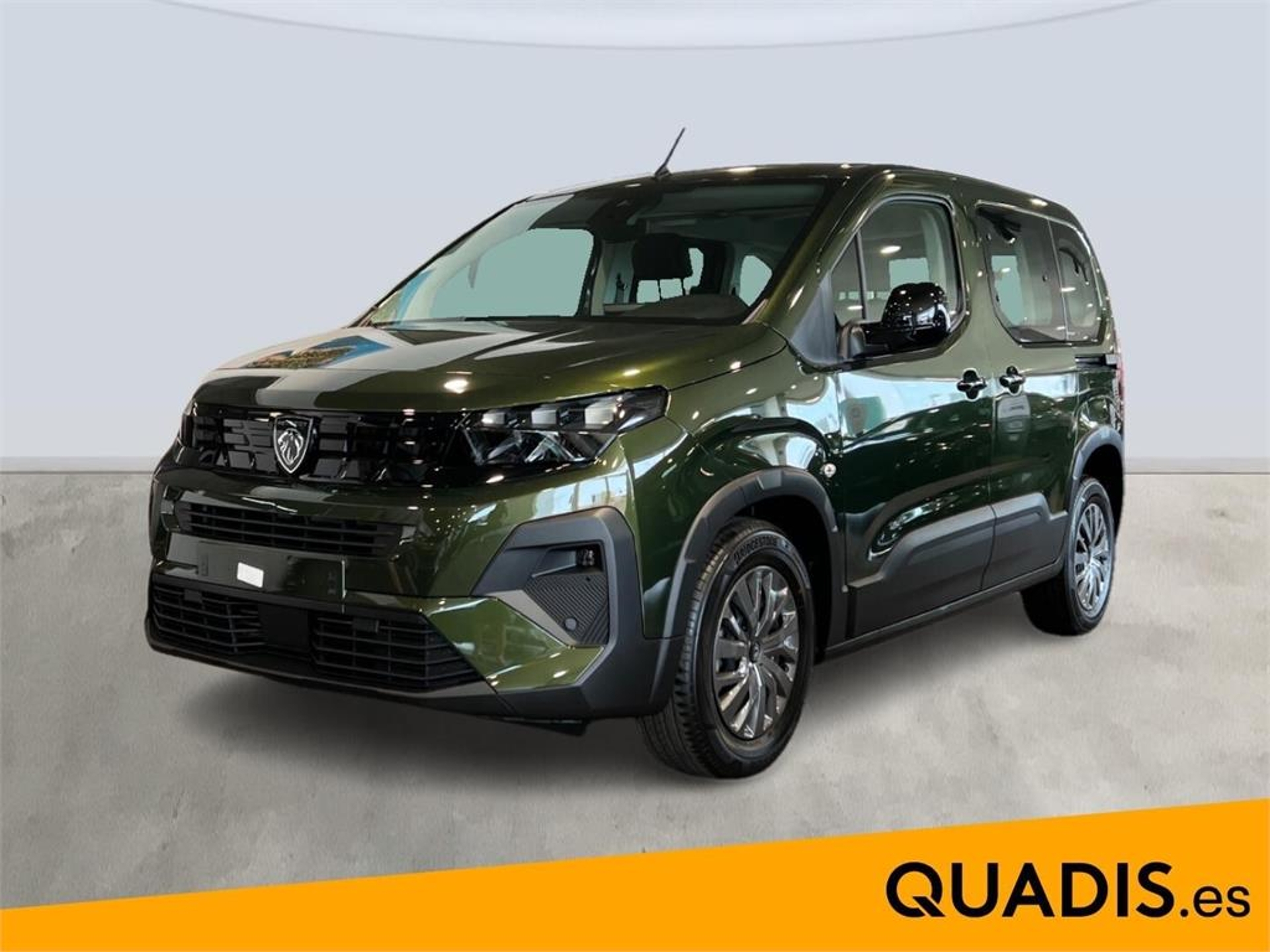 Imagen de PEUGEOT Rifter