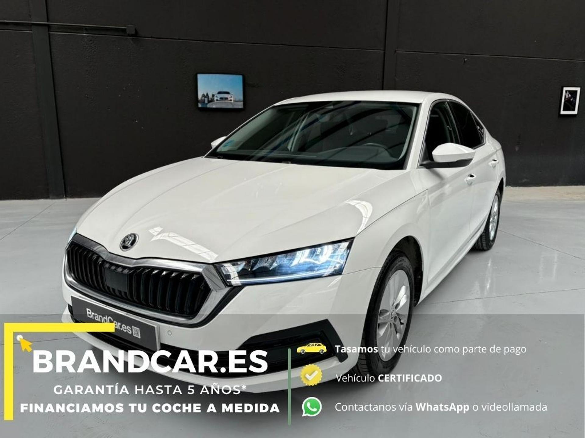 Imagen de SKODA Octavia
