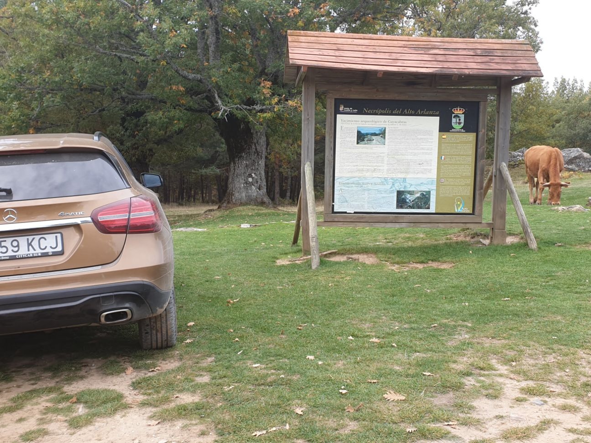 Imagen de MERCEDES Clase GLA