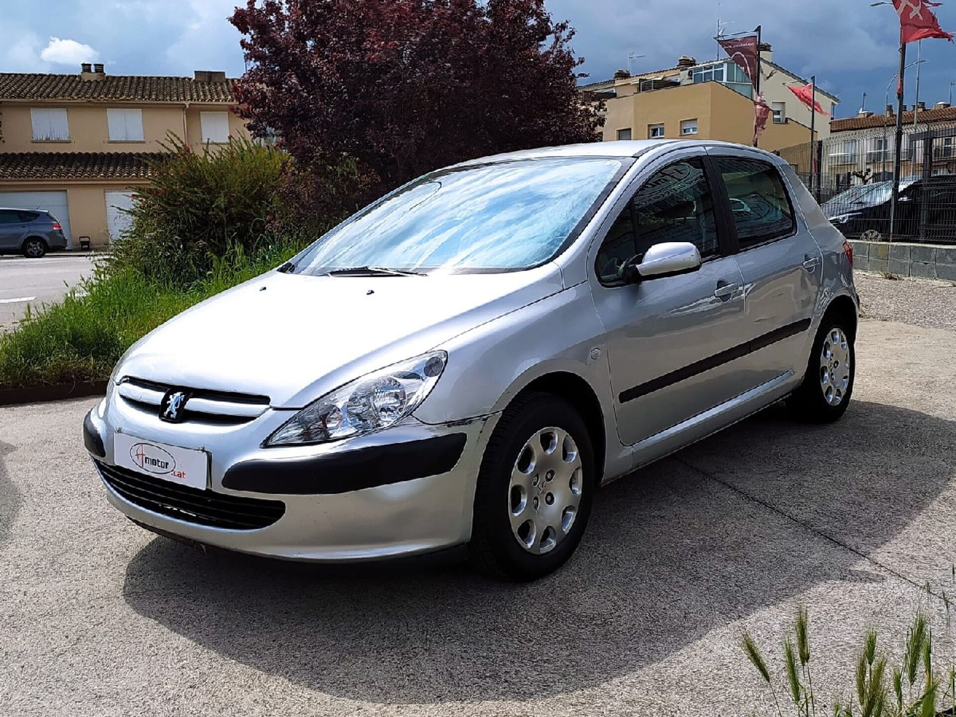 Imagen de PEUGEOT 307