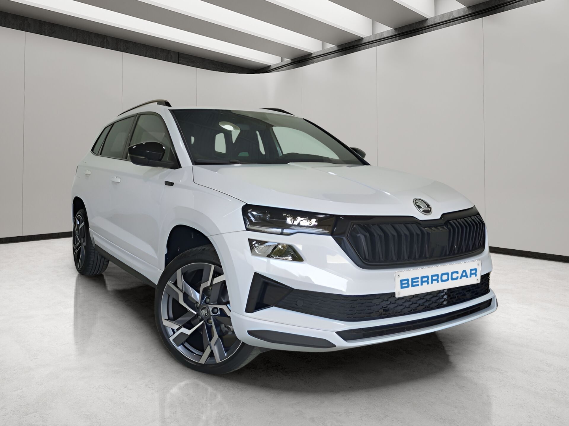 Imagen de SKODA Karoq