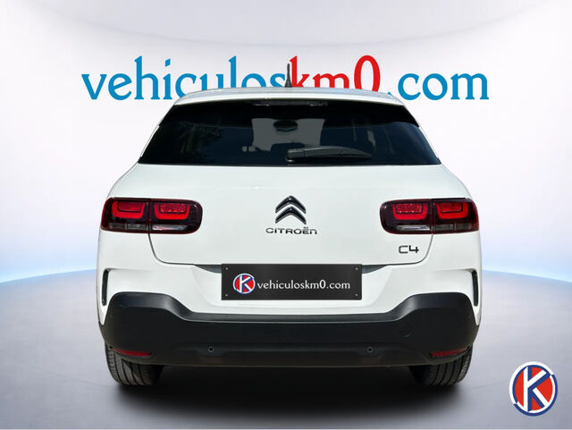 Foto del CITROEN C4 Cactus 1.5BlueHDi S&S C-Series 100