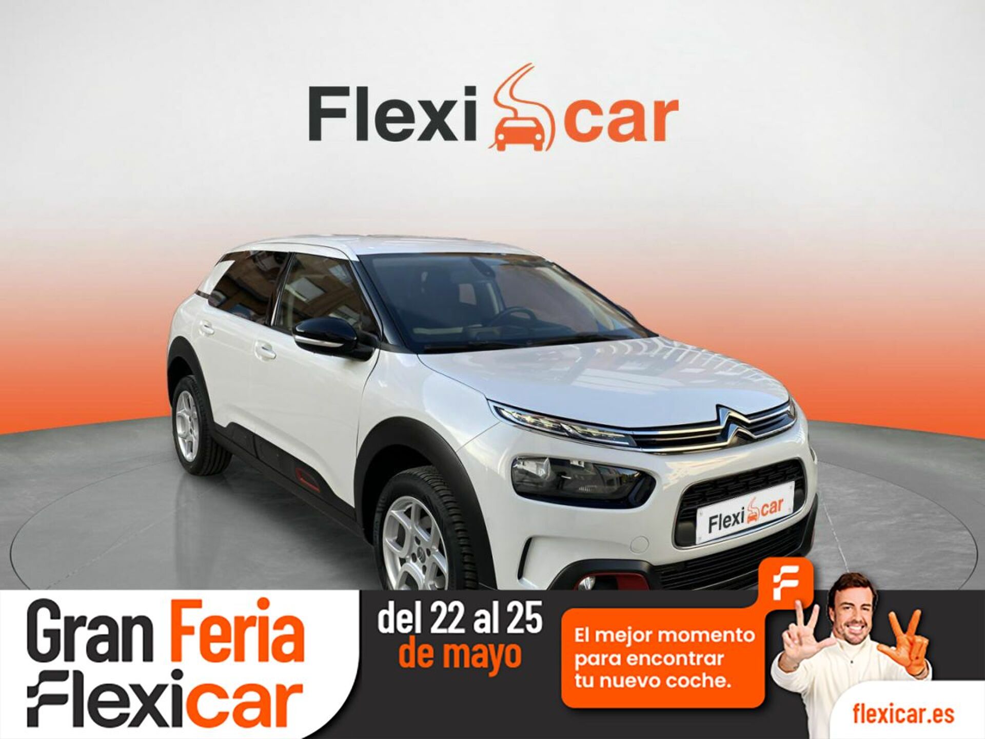 Imagen de CITROEN C4 Cactus