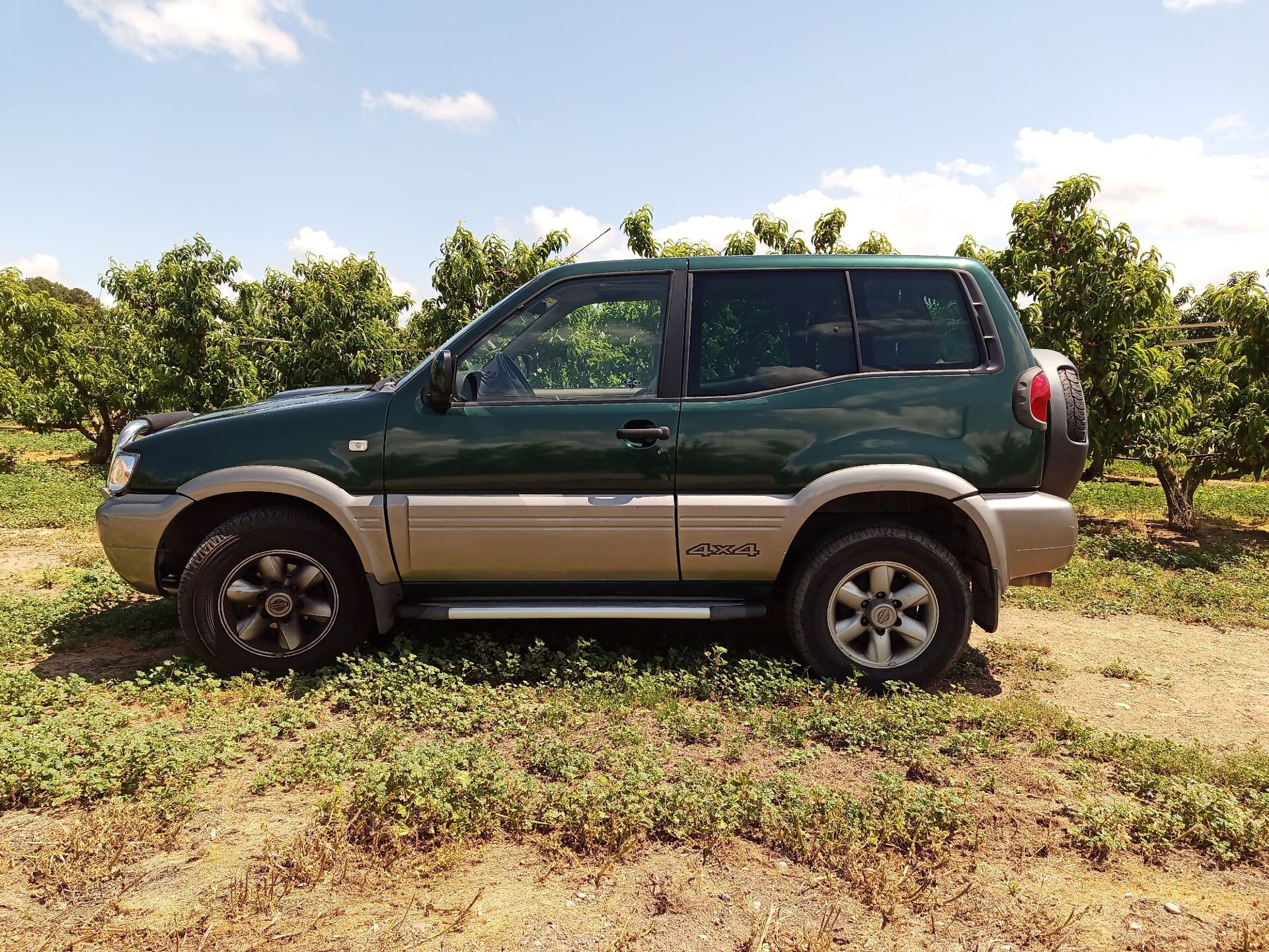 Imagen de NISSAN Terrano