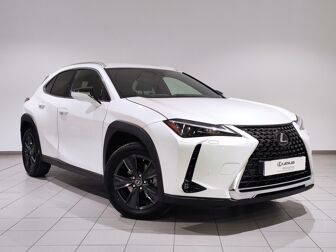 Imagen de LEXUS UX 250h Premium 2WD