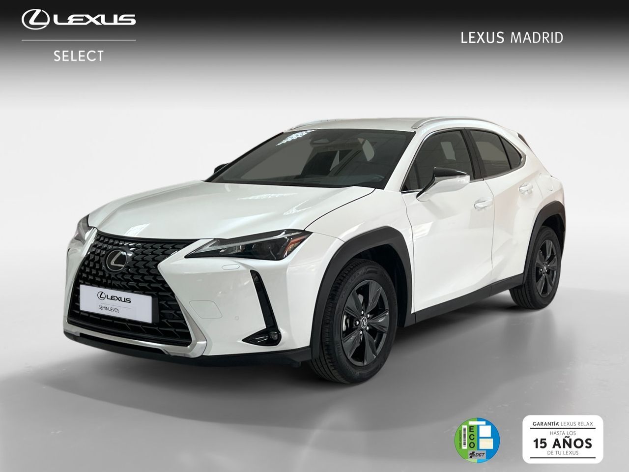 LEXUS UX (2.0 300h UX Plus) en Madrid