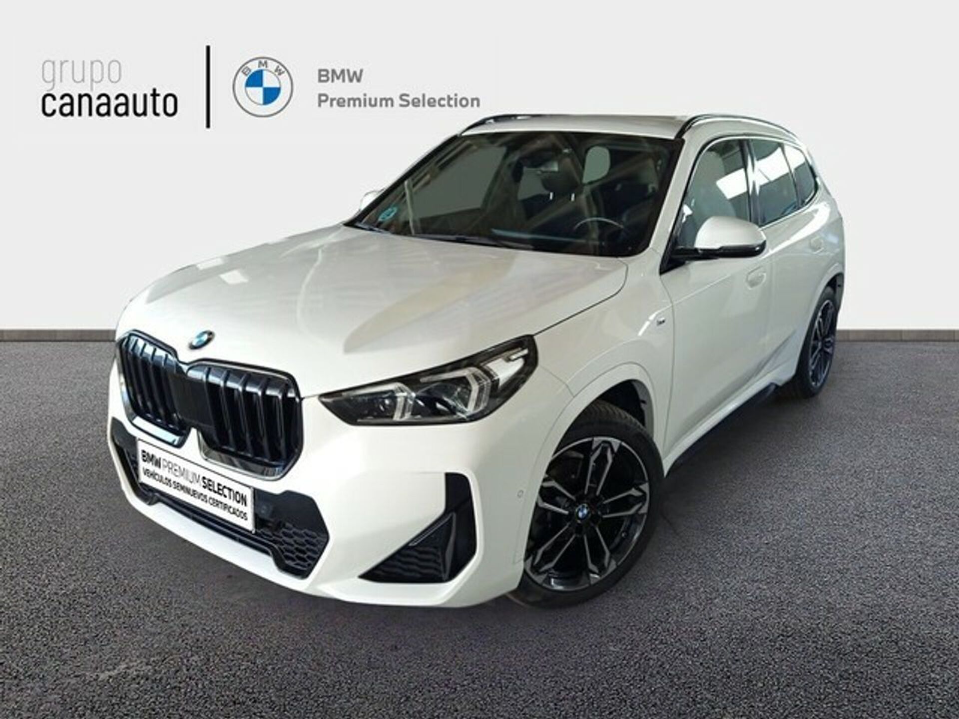 Imagen de BMW X1