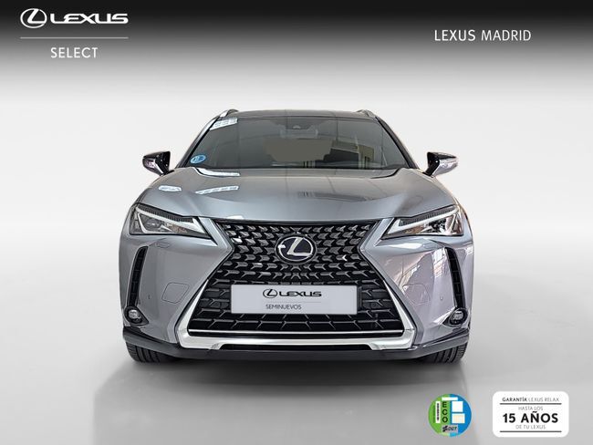 Foto del LEXUS UX 250h Business 4WD