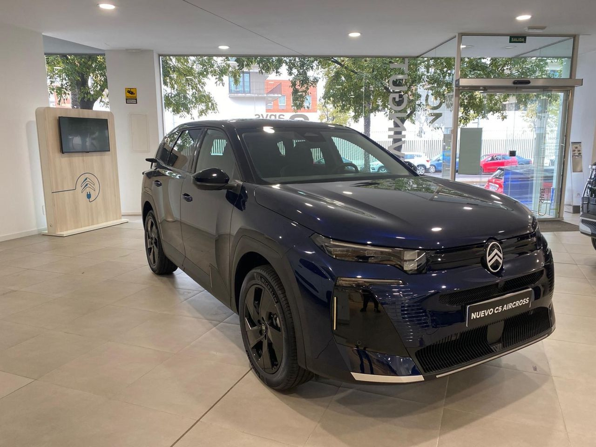 Imagen de CITROEN C5 Aircross