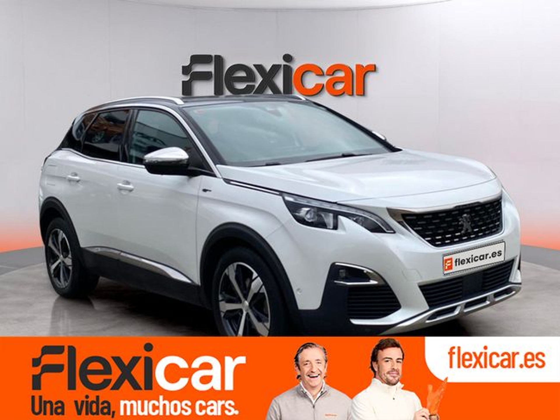 Imagen de PEUGEOT 3008