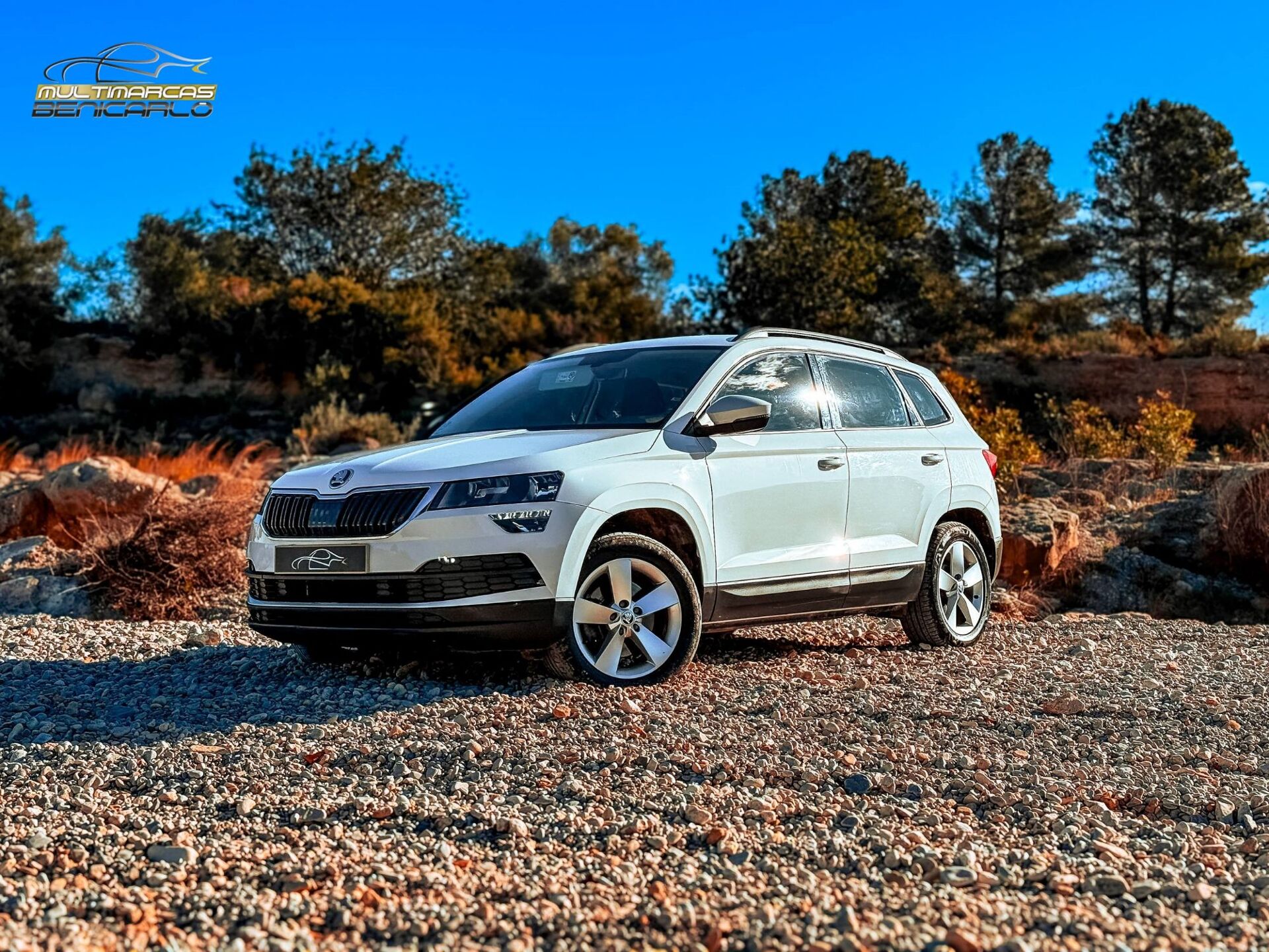 Imagen 1 de SKODA Karoq