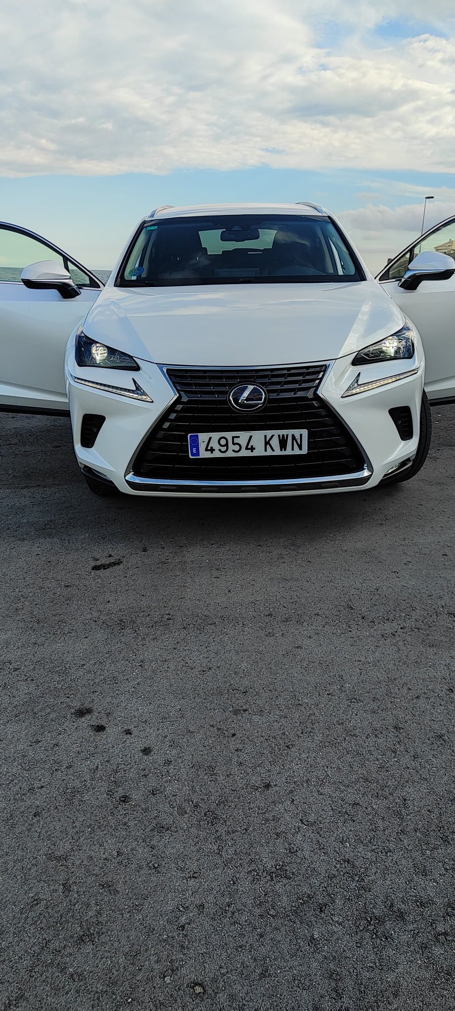 Foto del LEXUS NX 300h Executive 4WD