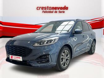 Imagen de FORD Kuga 1.5 EcoBoost ST-Line FWD 150