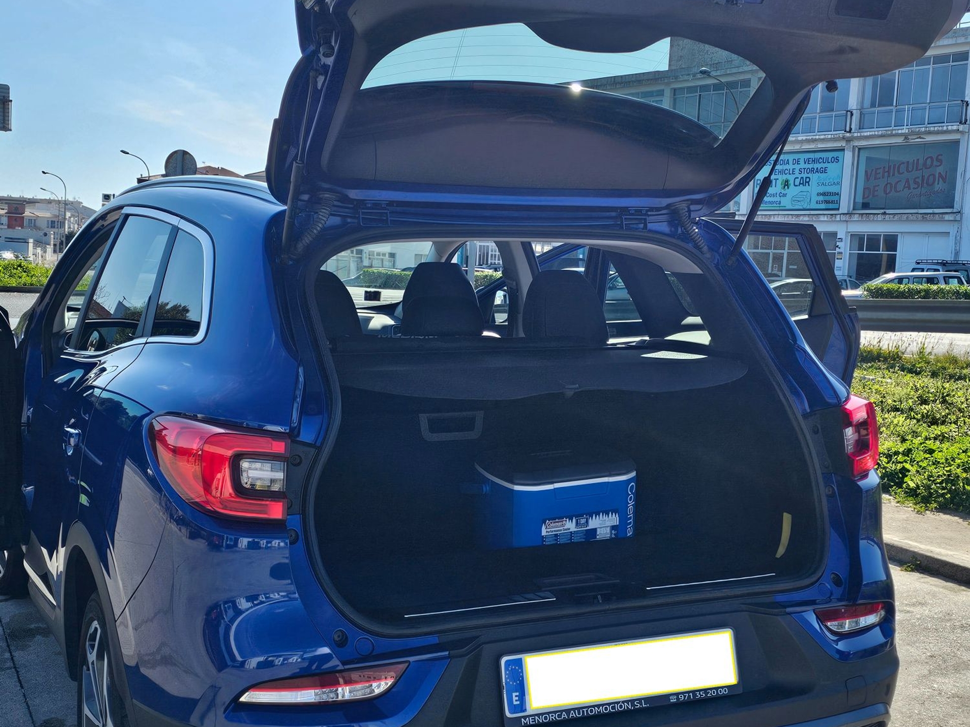 Imagen de RENAULT Kadjar