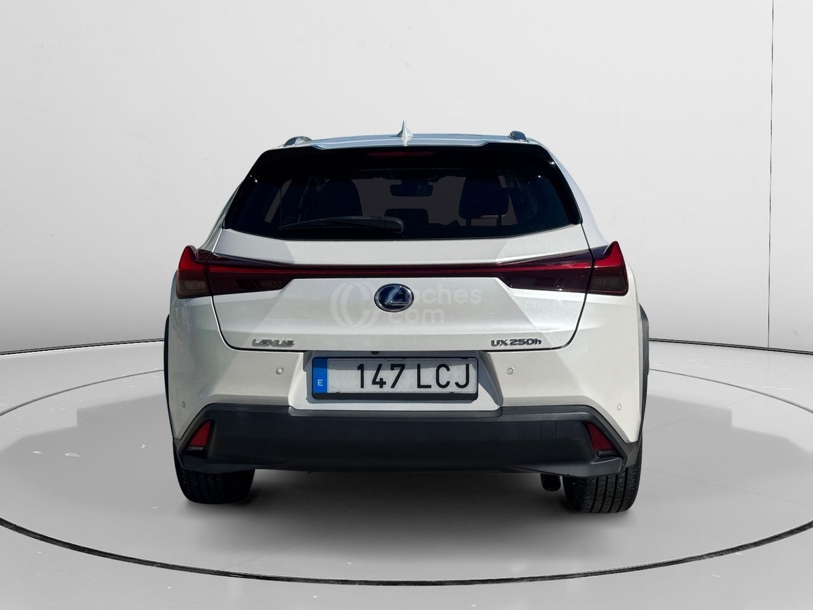 Foto del LEXUS UX 250h Business 4WD