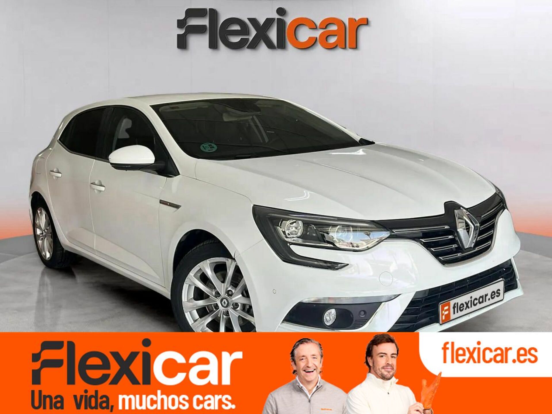 Imagen de RENAULT Mégane