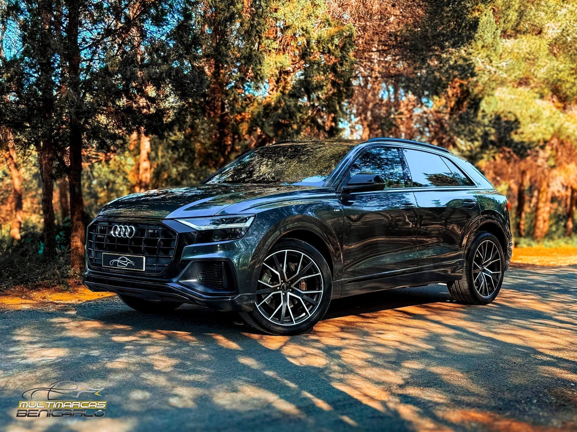 Foto del AUDI Q8 45 TDI Black line quattro tiptronic