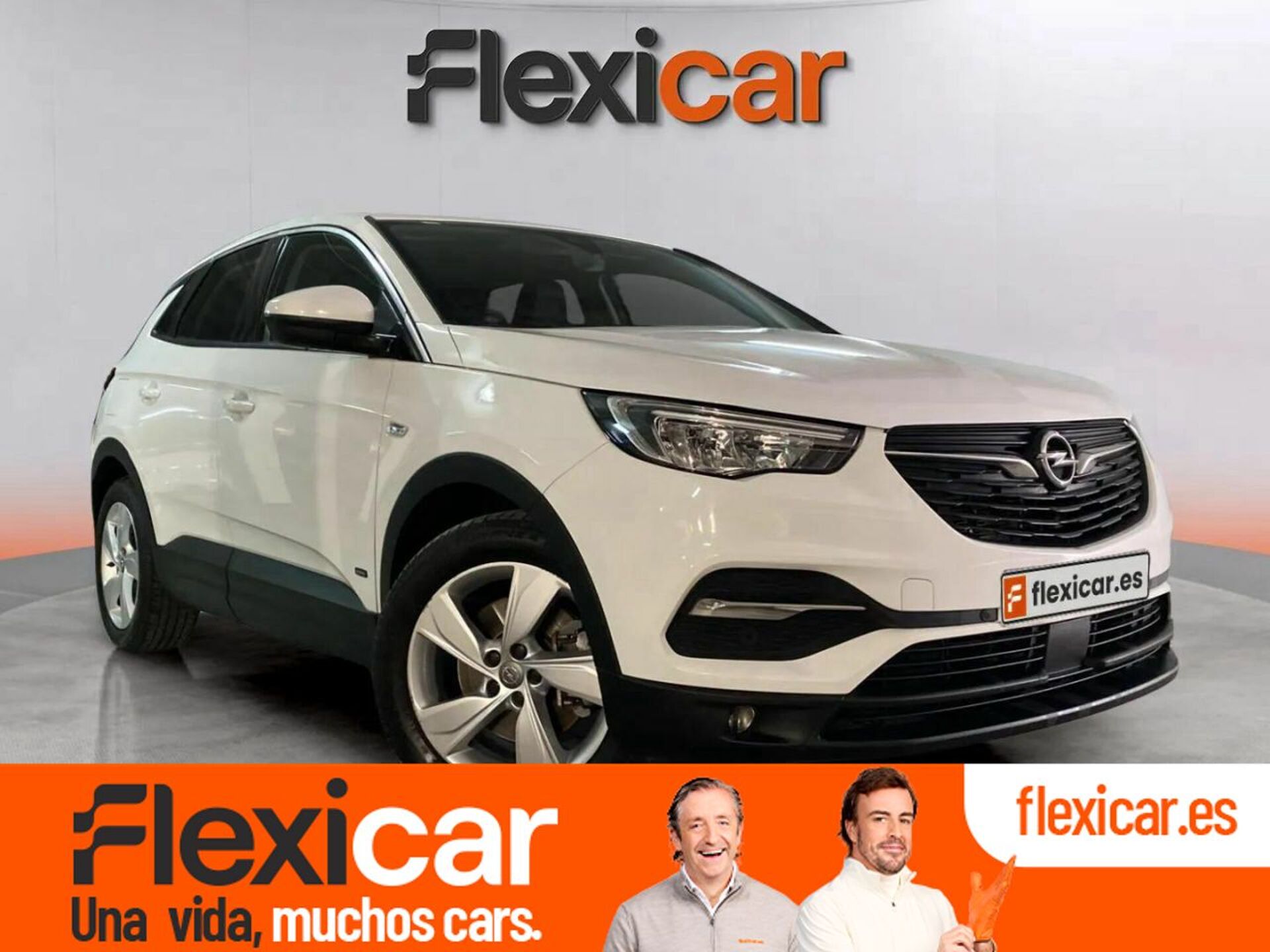 Imagen de OPEL Grandland X