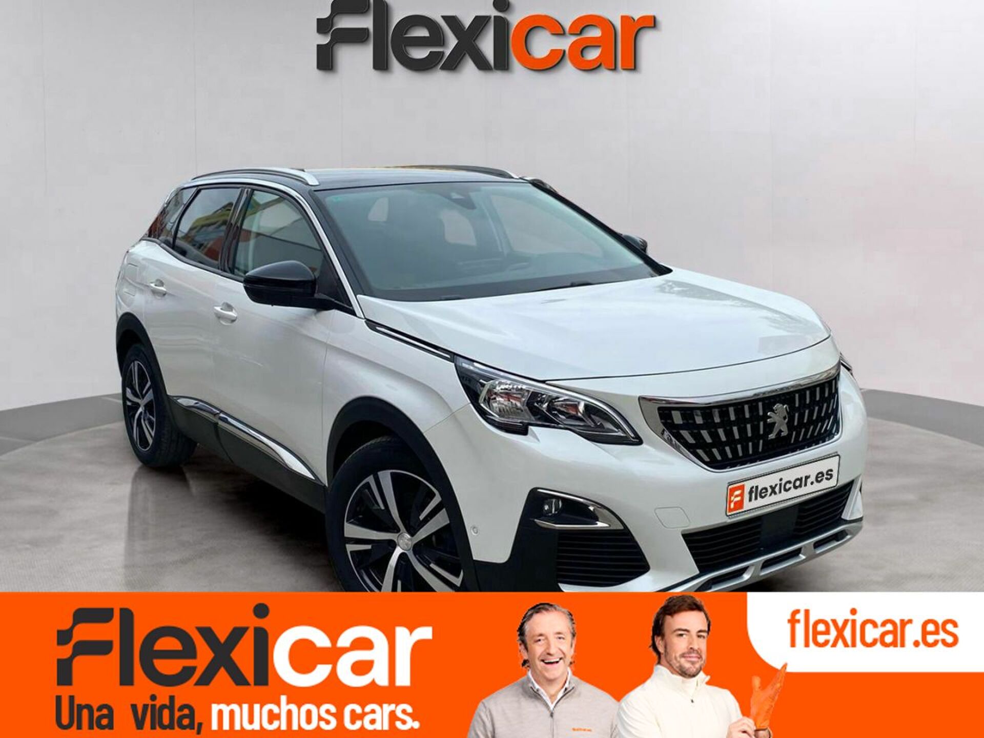 Imagen de PEUGEOT 3008