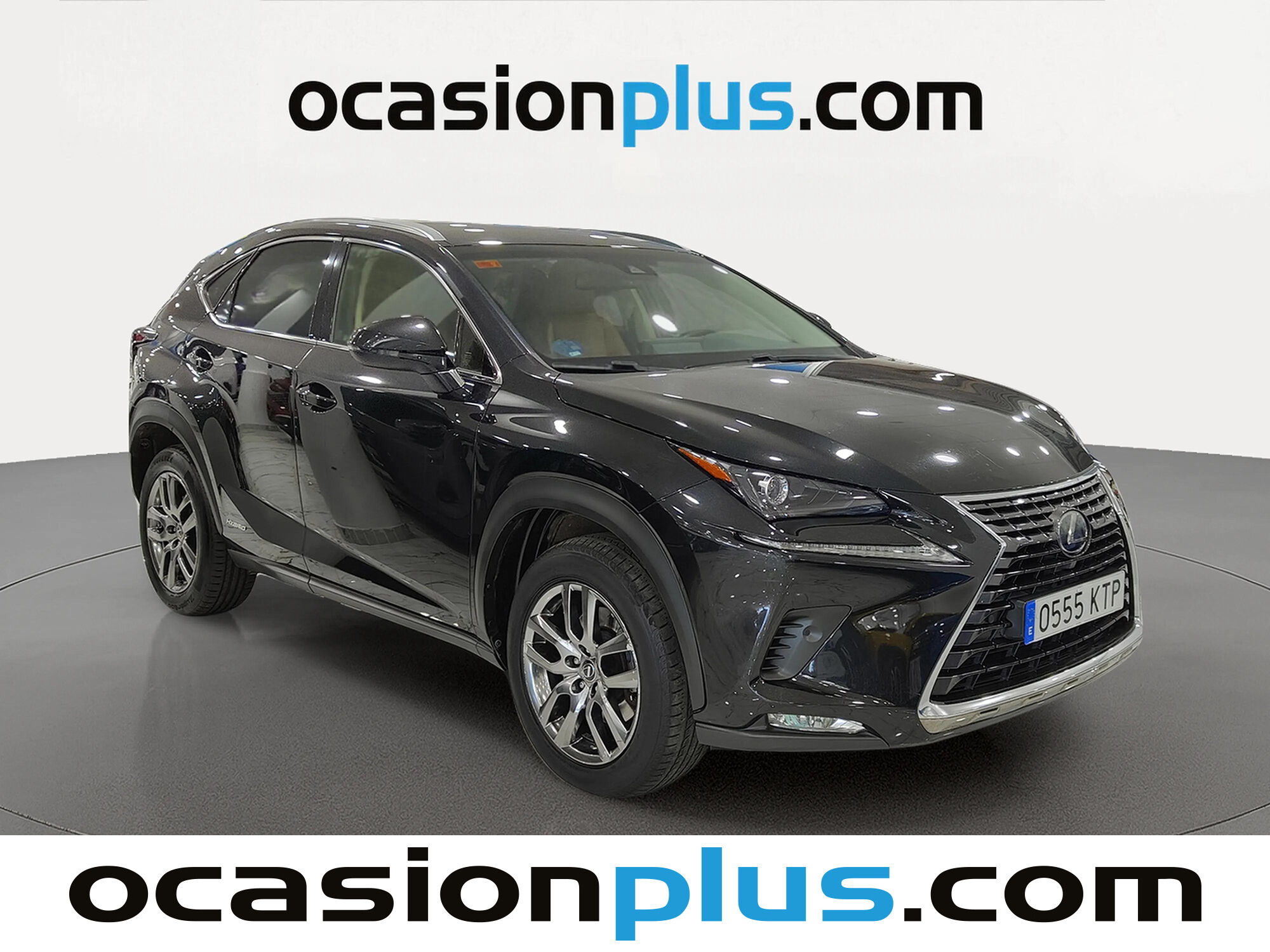 Foto del LEXUS NX 300h Executive Navigation 4WD