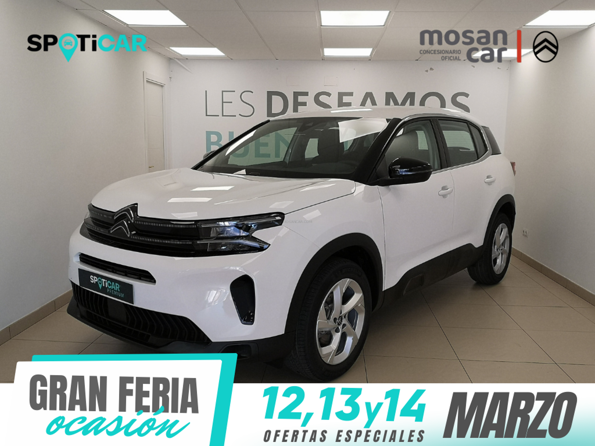 Imagen de CITROEN C5 Aircross