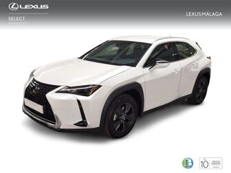 Imagen de LEXUS UX 250h Business 4WD