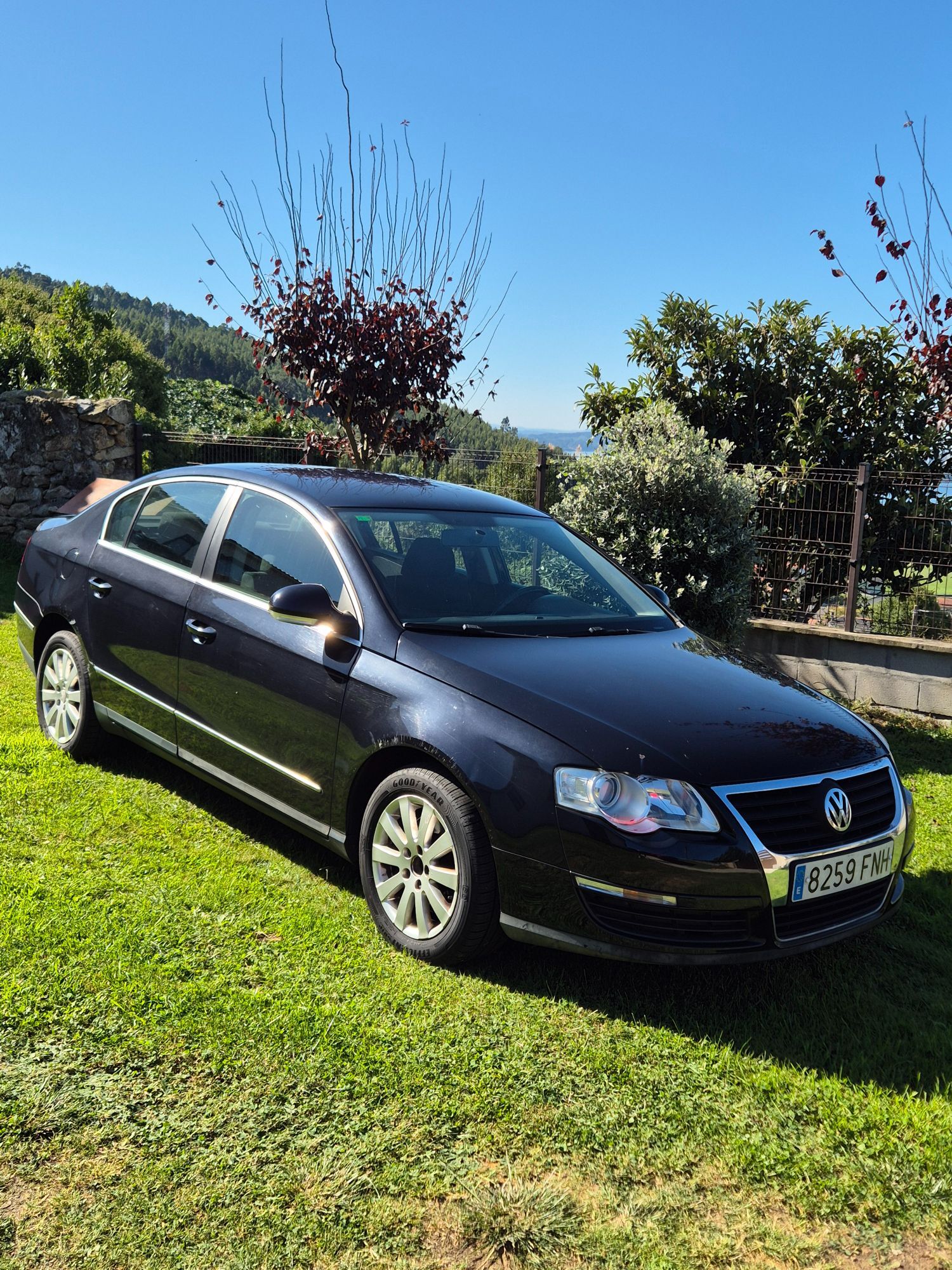 Foto del VOLKSWAGEN Passat 1.6FSI Advance