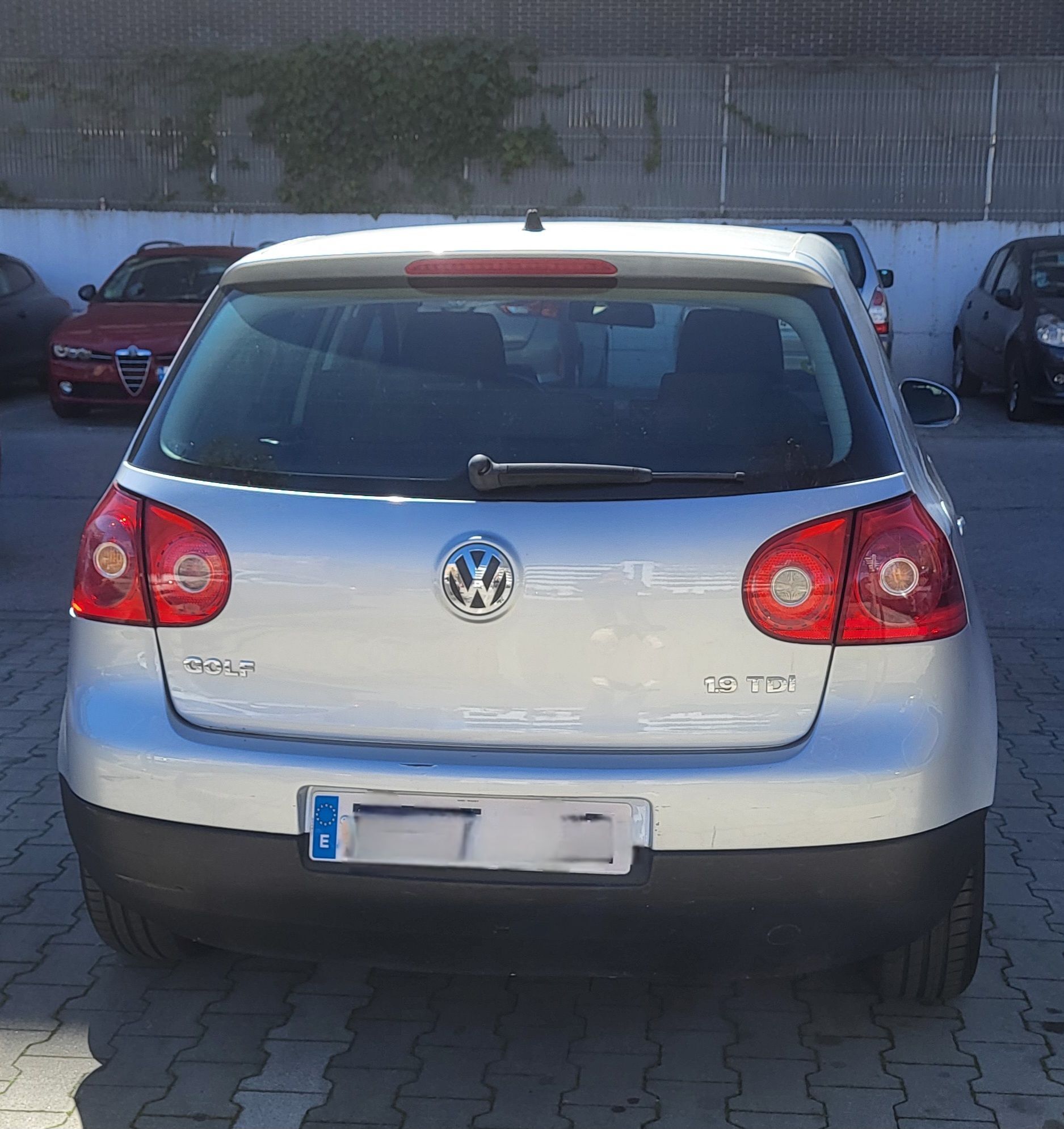Foto del VOLKSWAGEN Golf 1.9TDI Trendline 4Motion 105