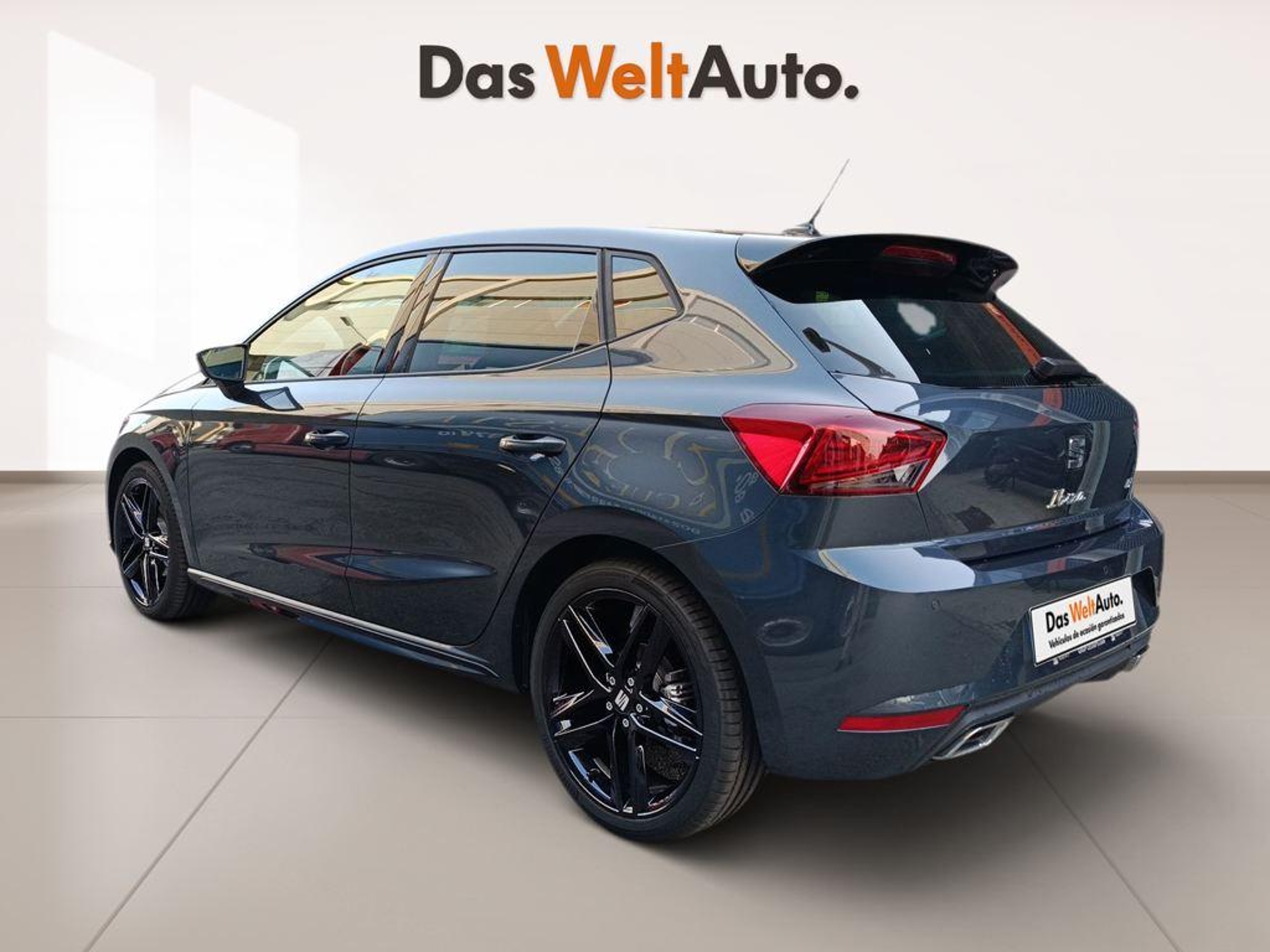 Imagen de SEAT Ibiza