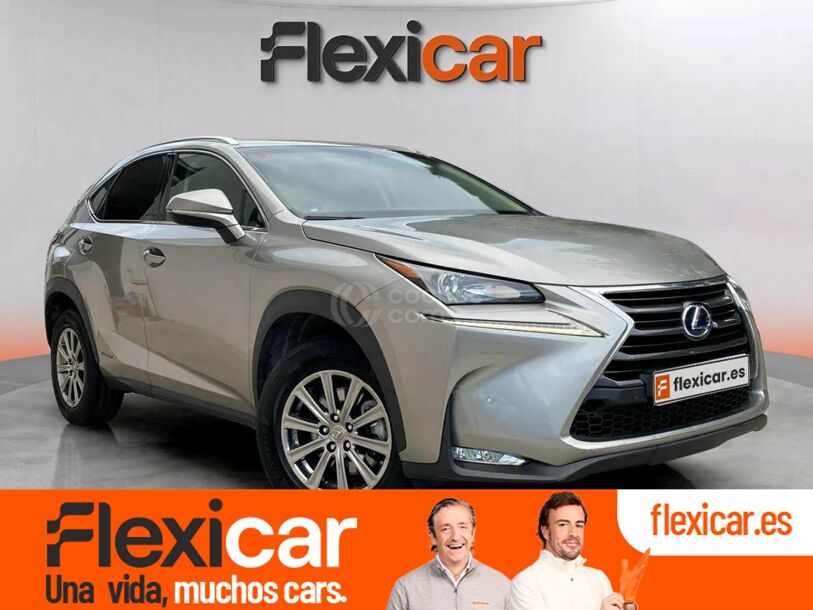 Foto del LEXUS NX 300h Business 2WD