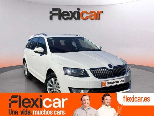 SKODA Octavia (1.6 TDI 81KW (110cv) Ambition Greenline) en Guipúzcoa
