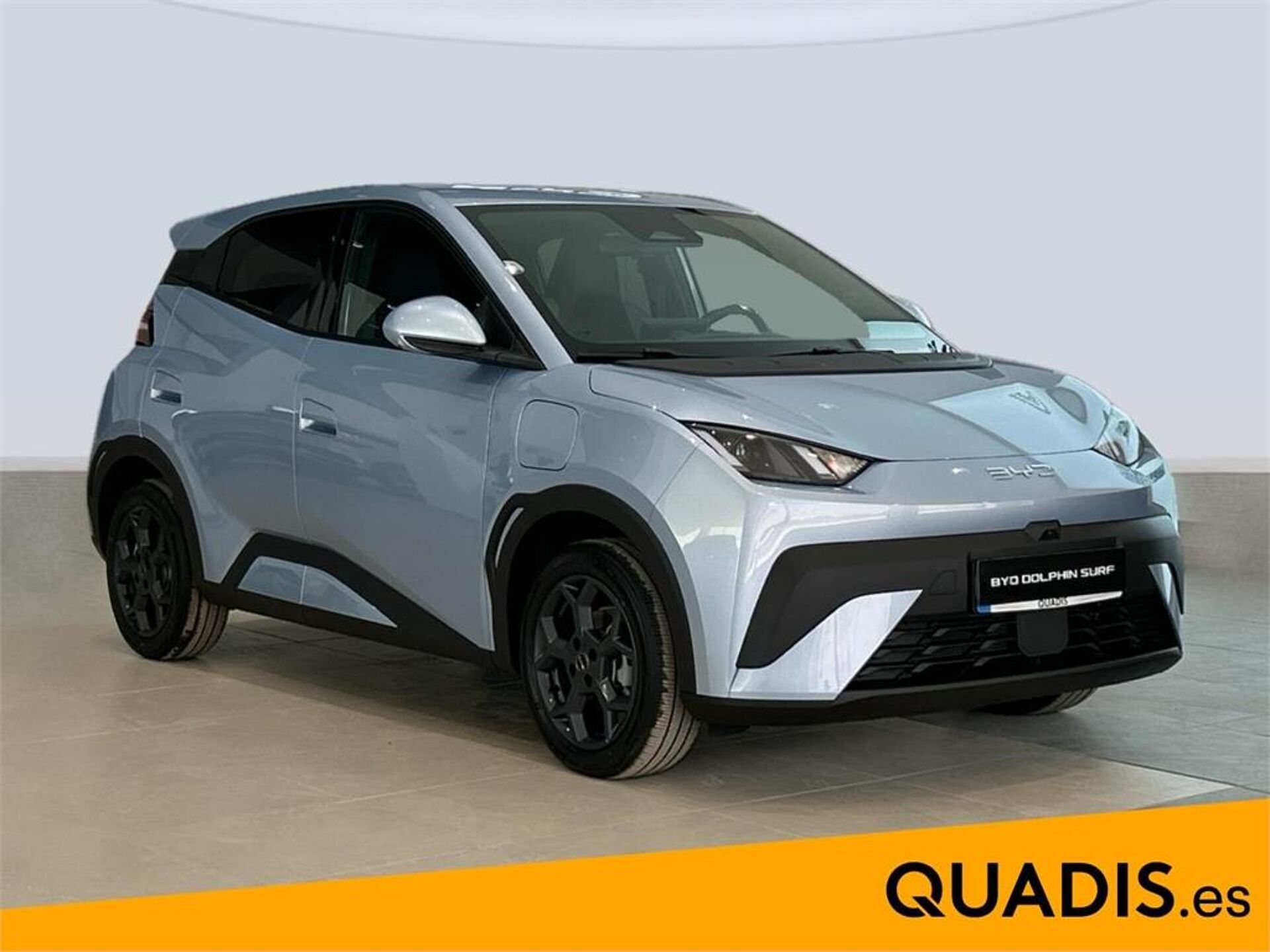 Imagen 3 de BYD Dolphin Surf