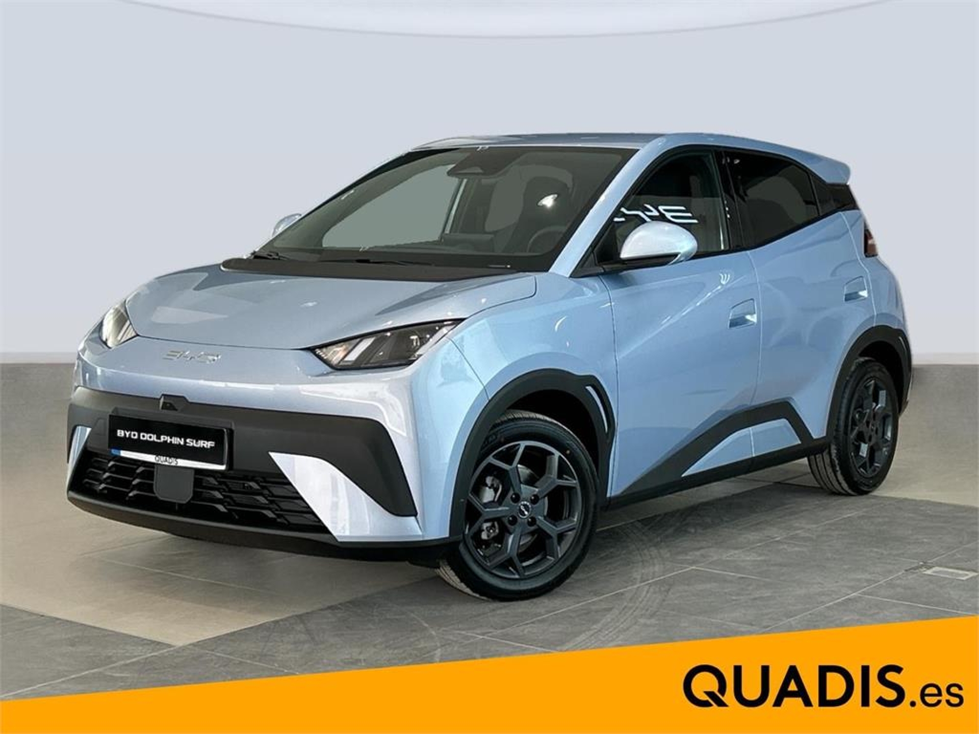 Imagen de BYD Dolphin Surf