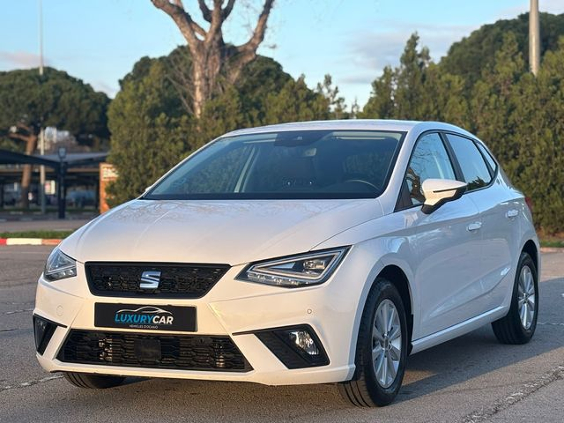 Imagen de SEAT Ibiza